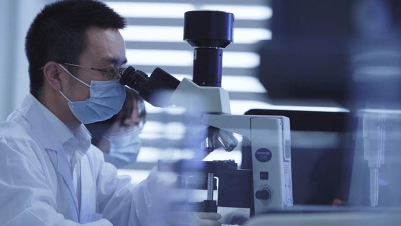 尊龙凯时人生就是搏