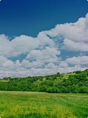尊龙凯时人生就是搏(中国区)官方网站