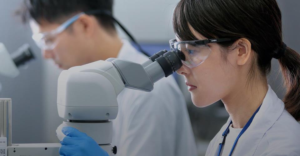 尊龙凯时人生就是搏