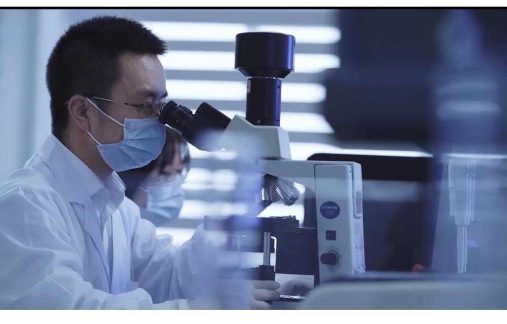 尊龙凯时人生就是搏(中国区)官方网站