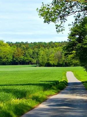 尊龙凯时人生就是搏(中国区)官方网站